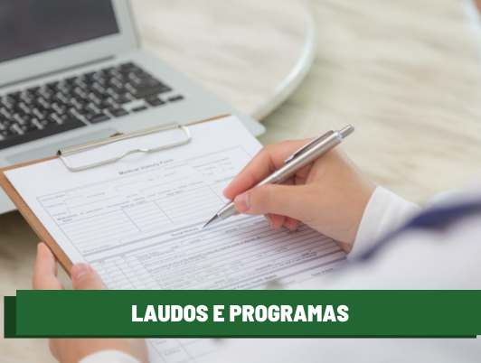 Laudos e programas
